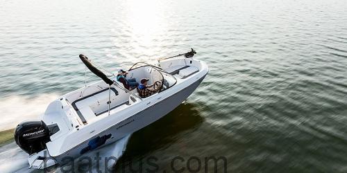 Bayliner Element 21 Spesifikasjoner og anmeldelser